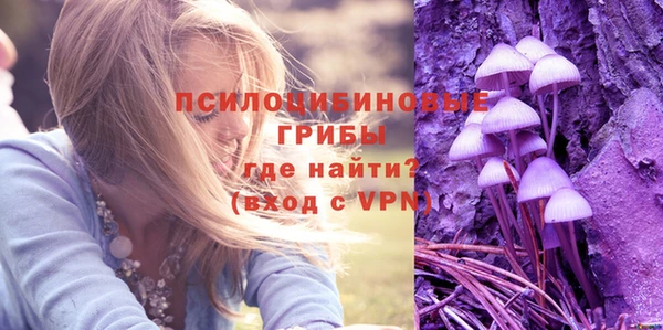 дурь Зеленокумск